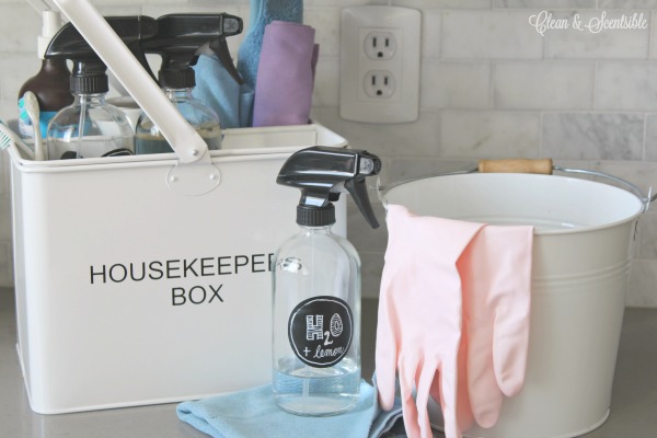Portable Home Cleaning Kit Essentials - Clean and Scentsible